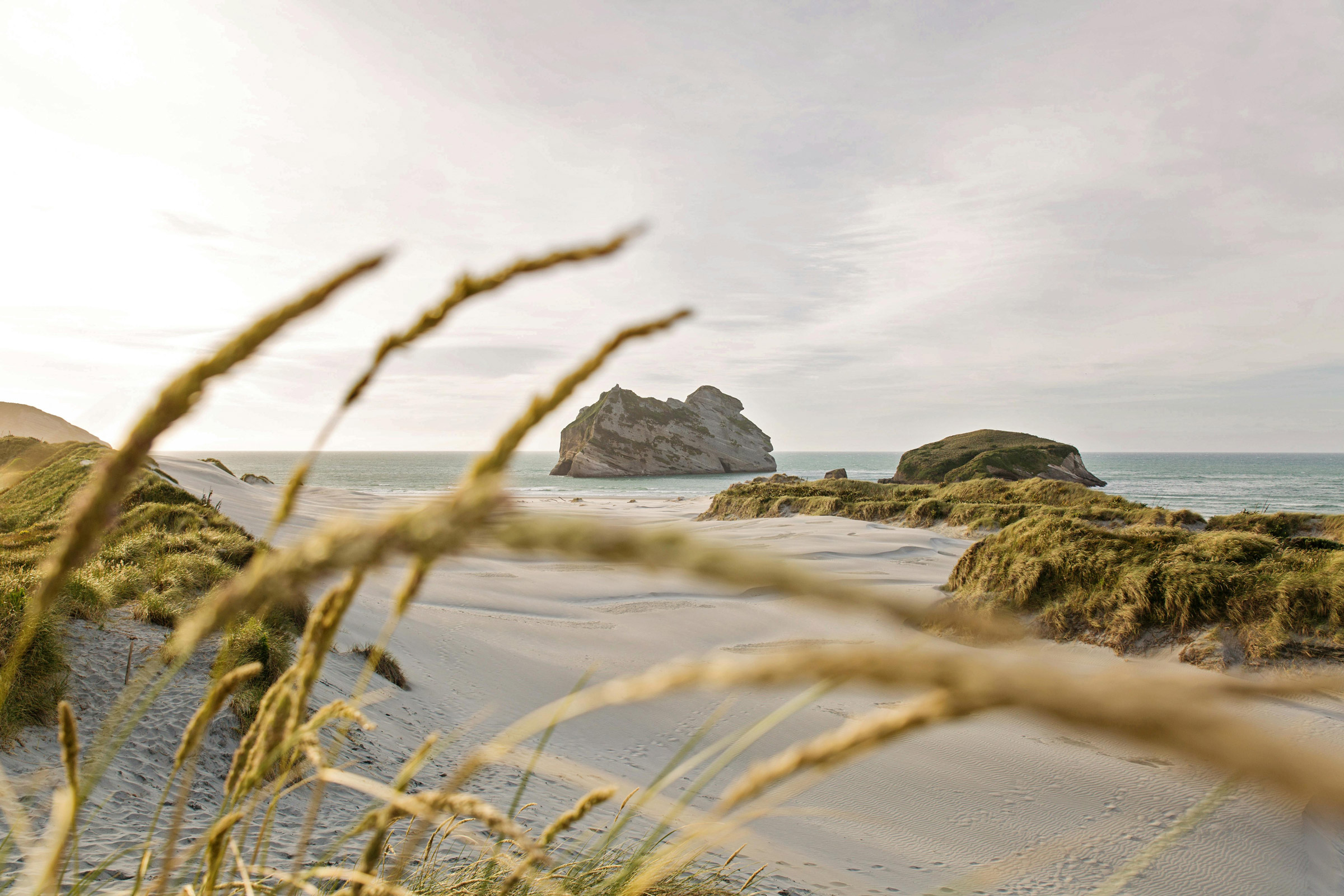 New Zealand wild beach photo